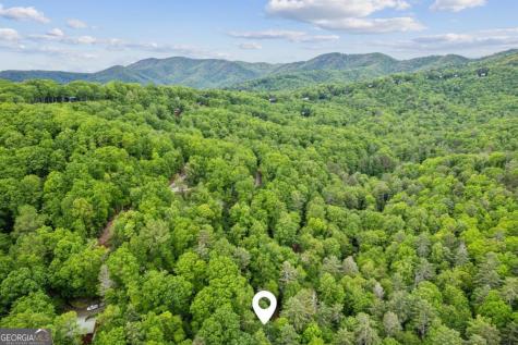 85 Clear Lake Court Ellijay GA 30540
