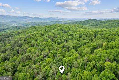 85 Clear Lake Court Ellijay GA 30540