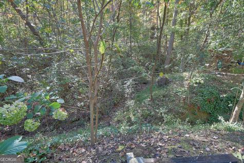 31 Creekside Lane Clayton GA 30525