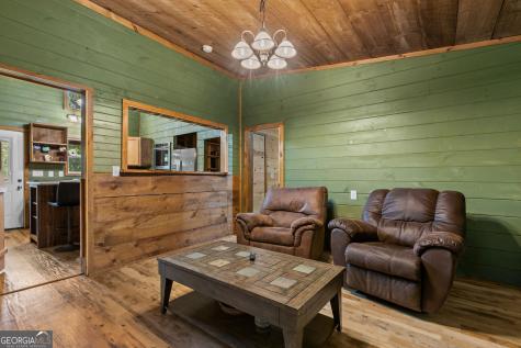 56 N River Road Mineral Bluff GA 30559