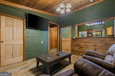 56 N River Road Mineral Bluff GA 30559
