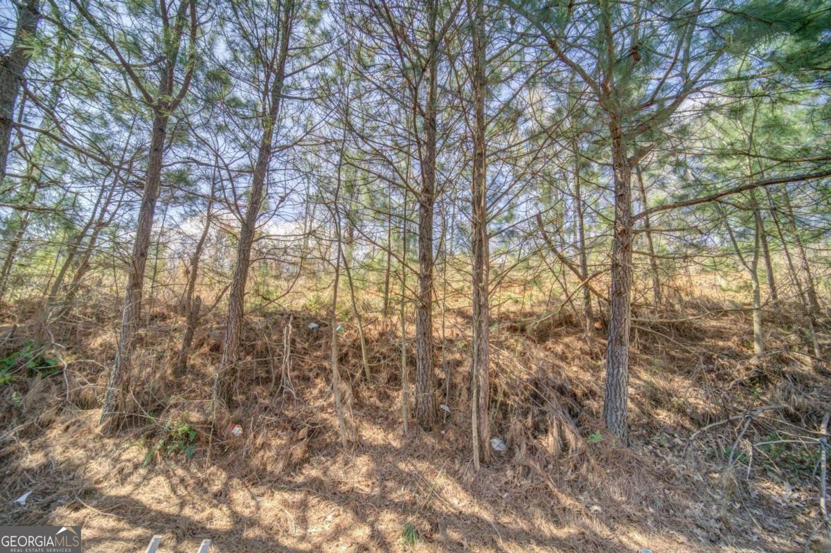 134 Cypress Court Canton GA 30115