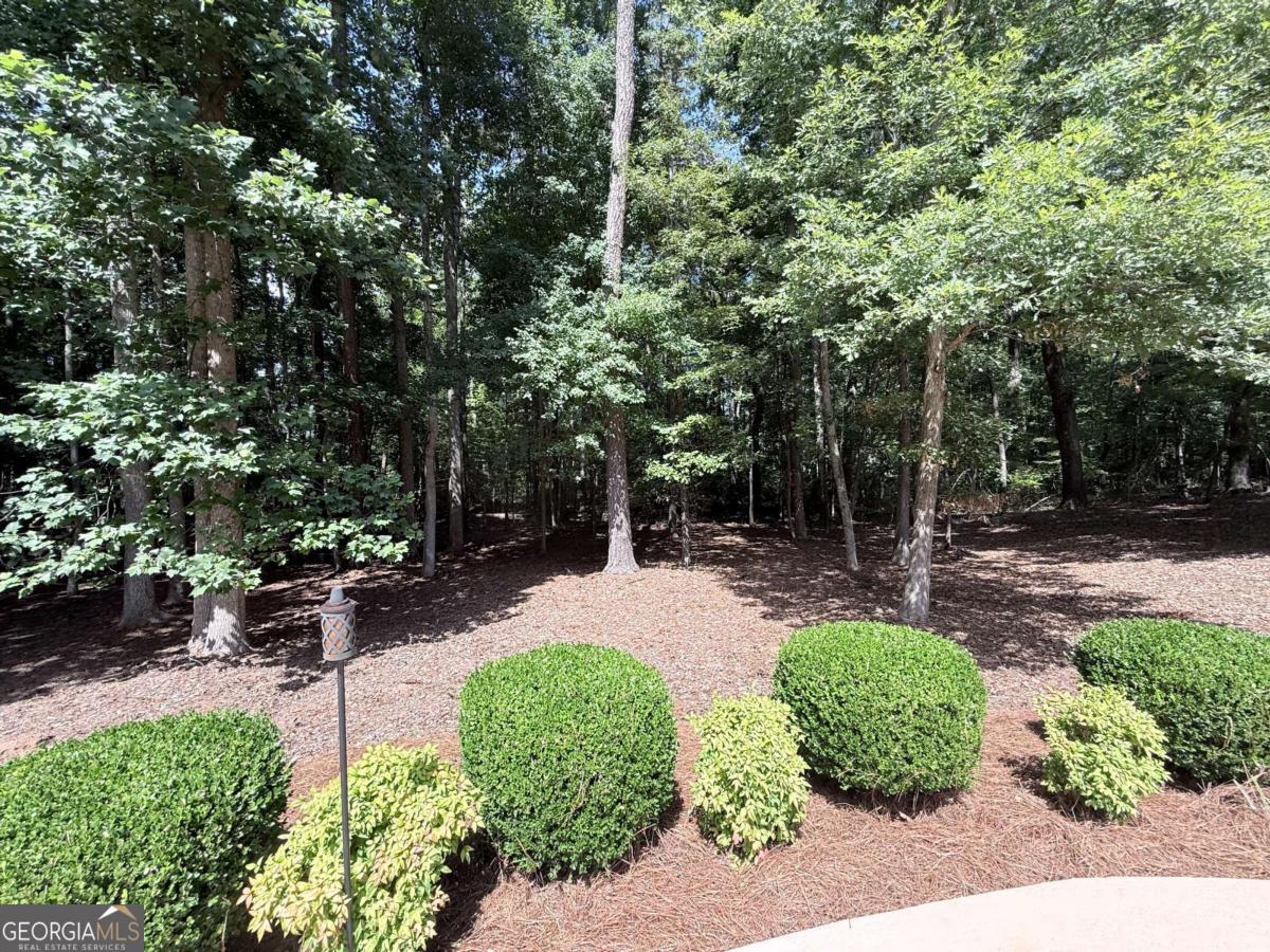 3700 Millstream Lane Stockbridge GA 30281