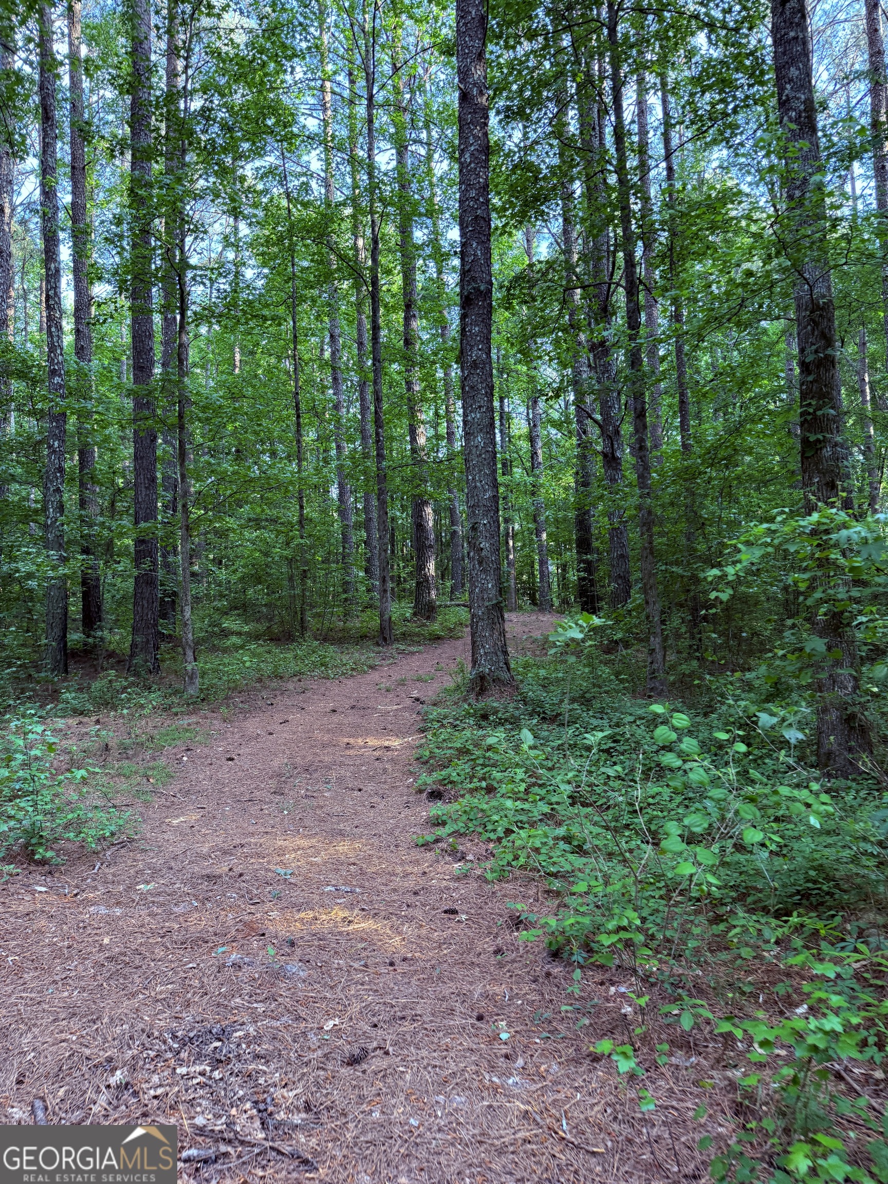 340 Adolphus Callaway Road Rayle GA 30660