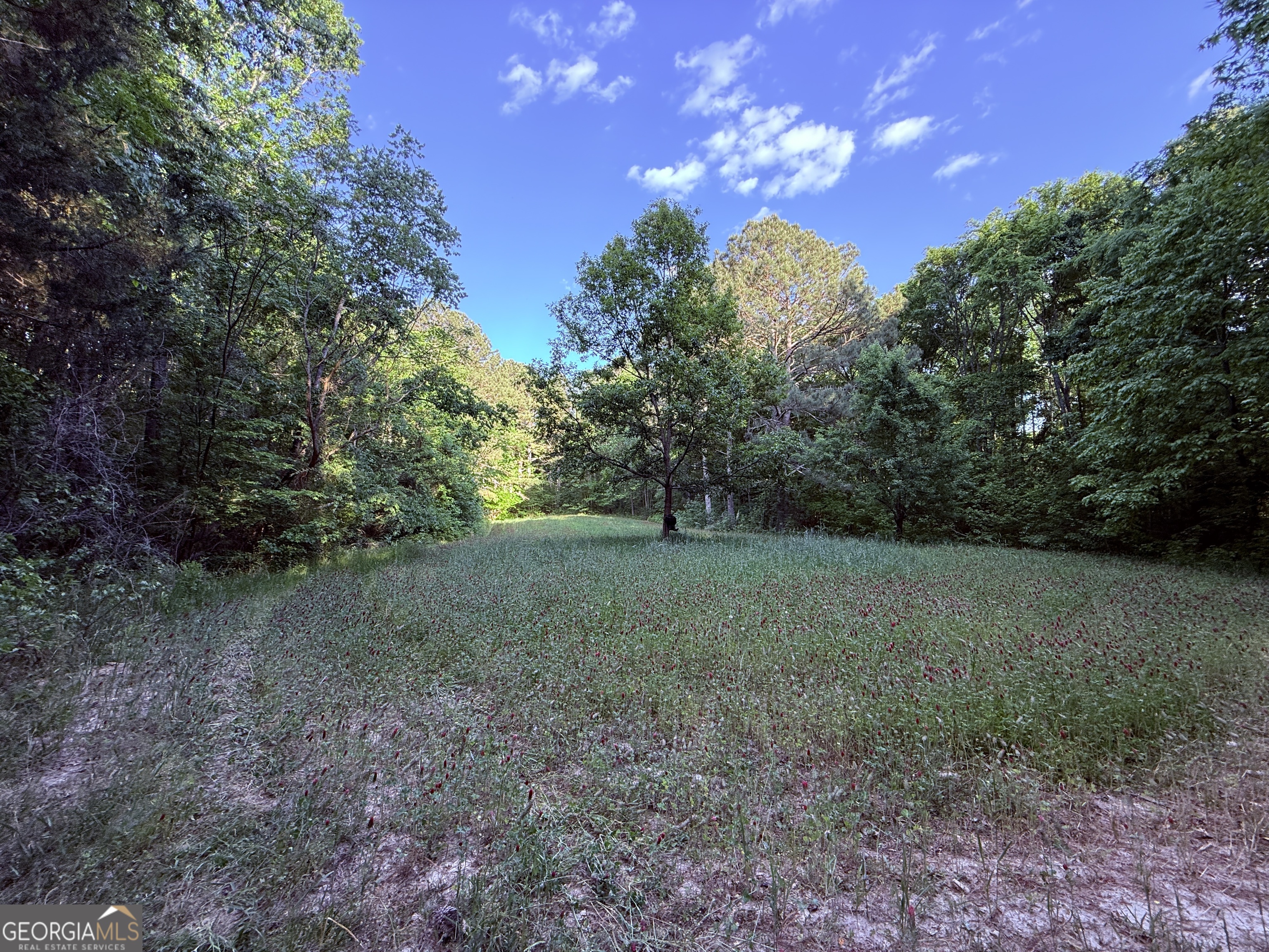 340 Adolphus Callaway Road Rayle GA 30660