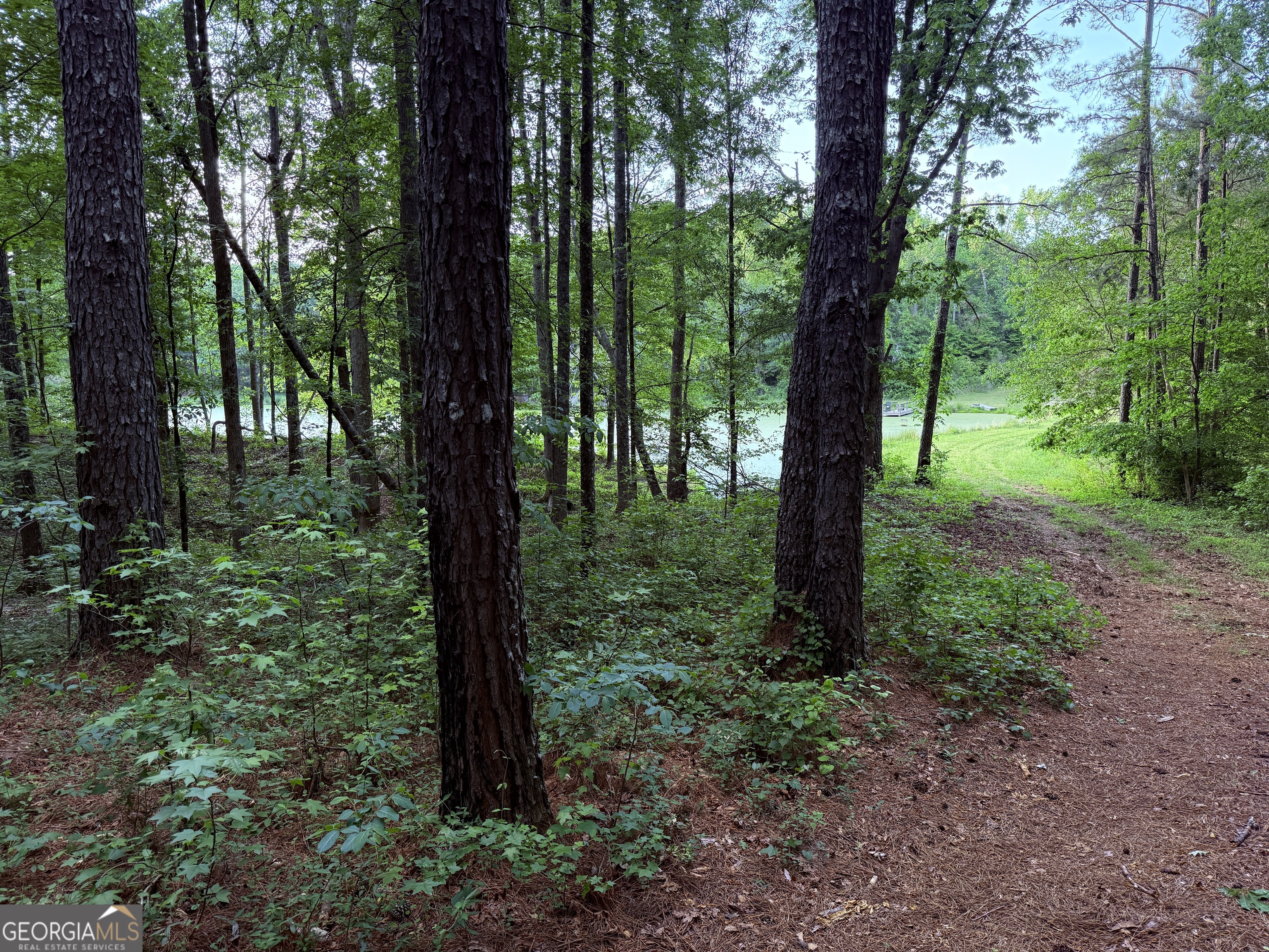 340 Adolphus Callaway Road Rayle GA 30660
