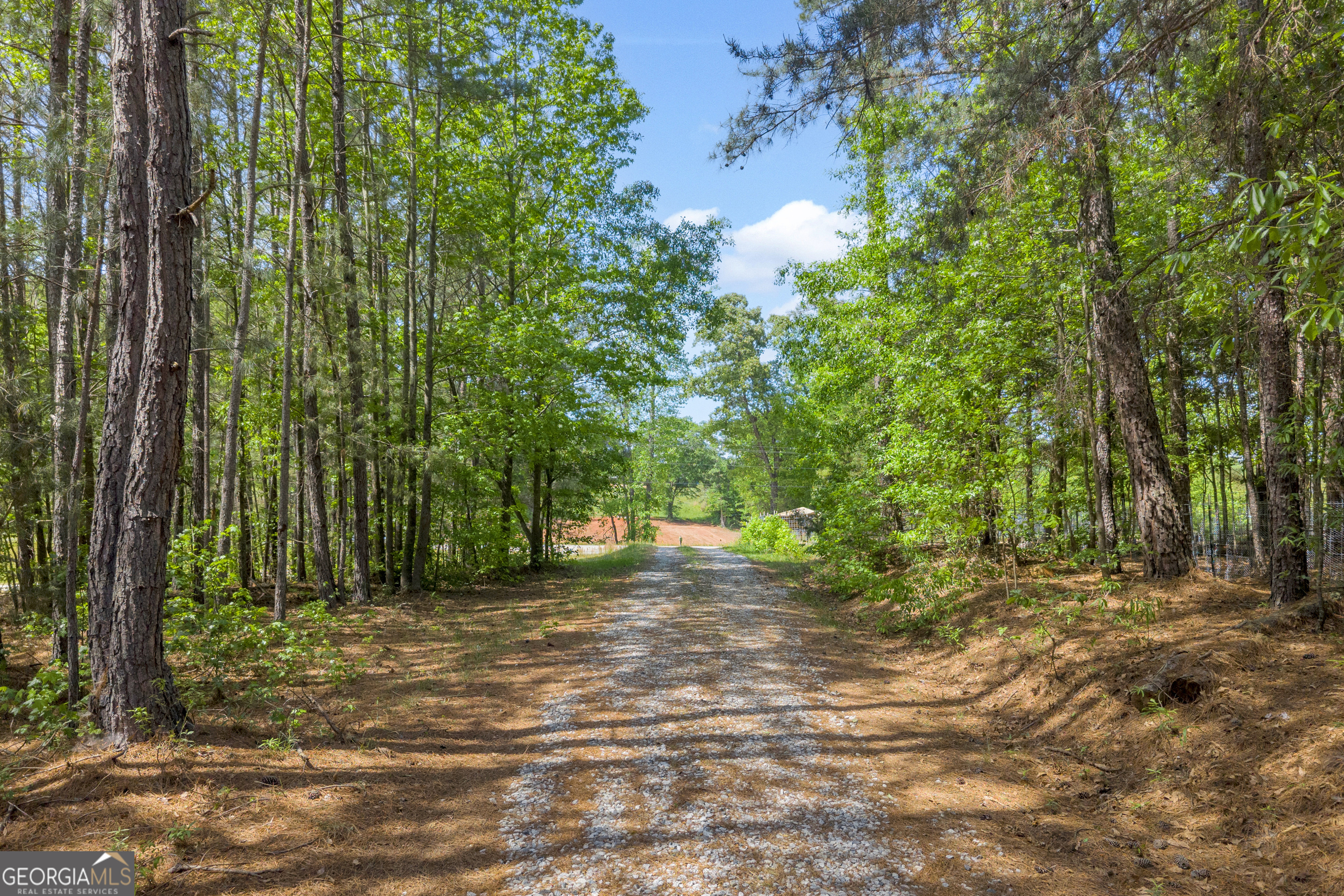 1894 Athens Road Carnesville GA 30521