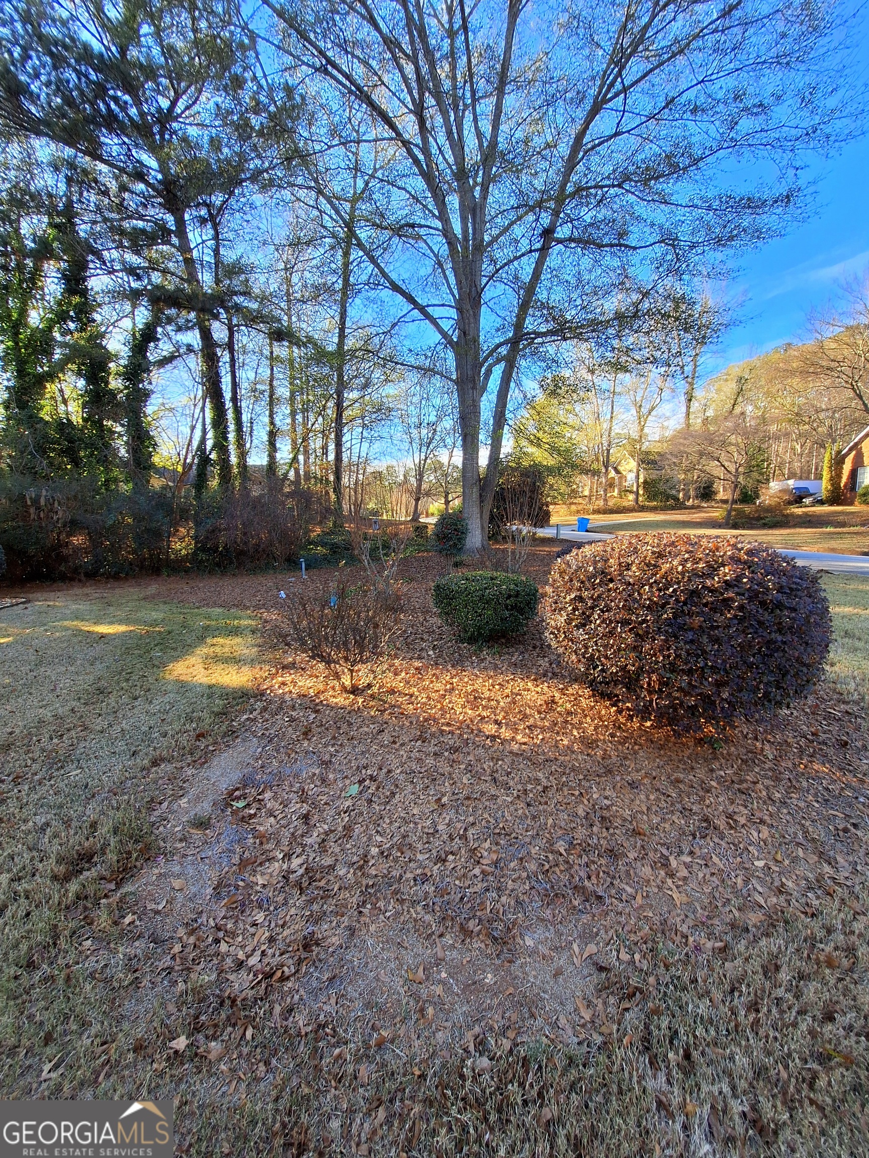 125 Chardonnay Oaks Drive Mcdonough GA 30252