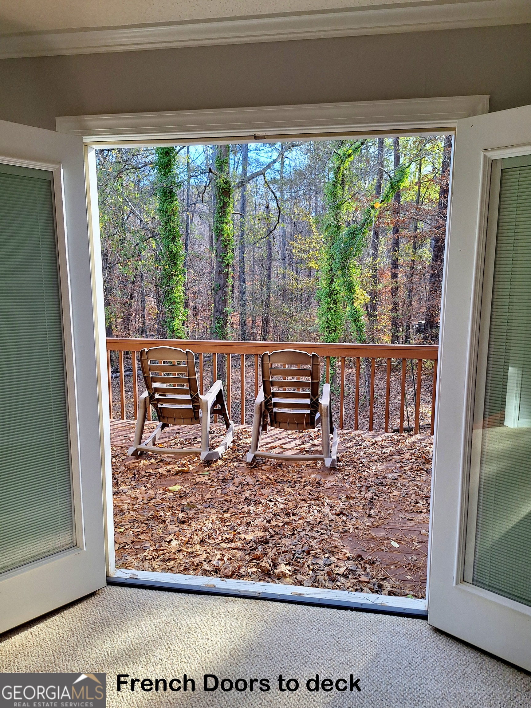125 Chardonnay Oaks Drive Mcdonough GA 30252