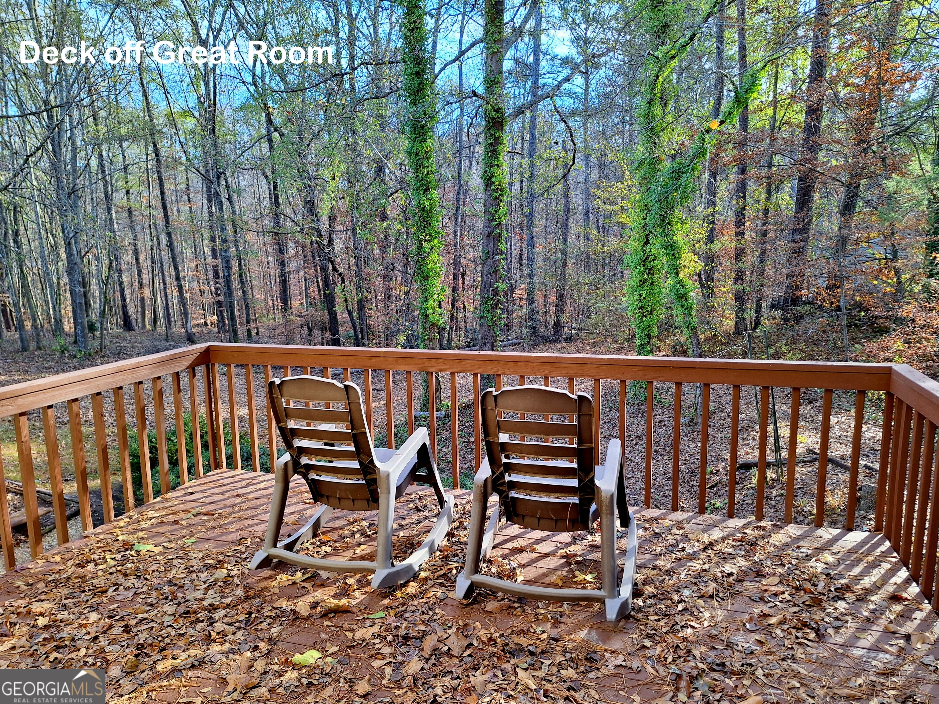 125 Chardonnay Oaks Drive Mcdonough GA 30252