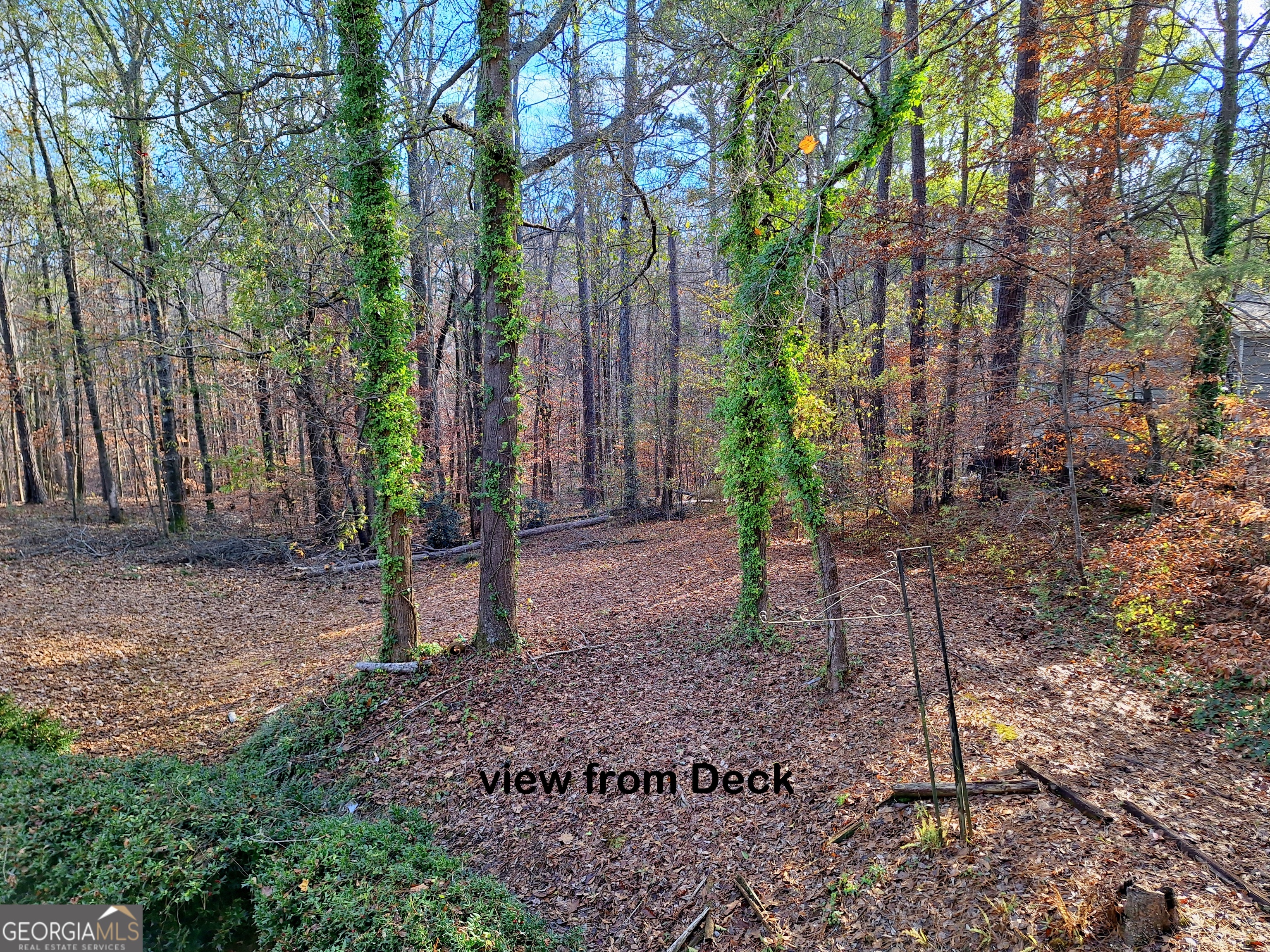 125 Chardonnay Oaks Drive Mcdonough GA 30252