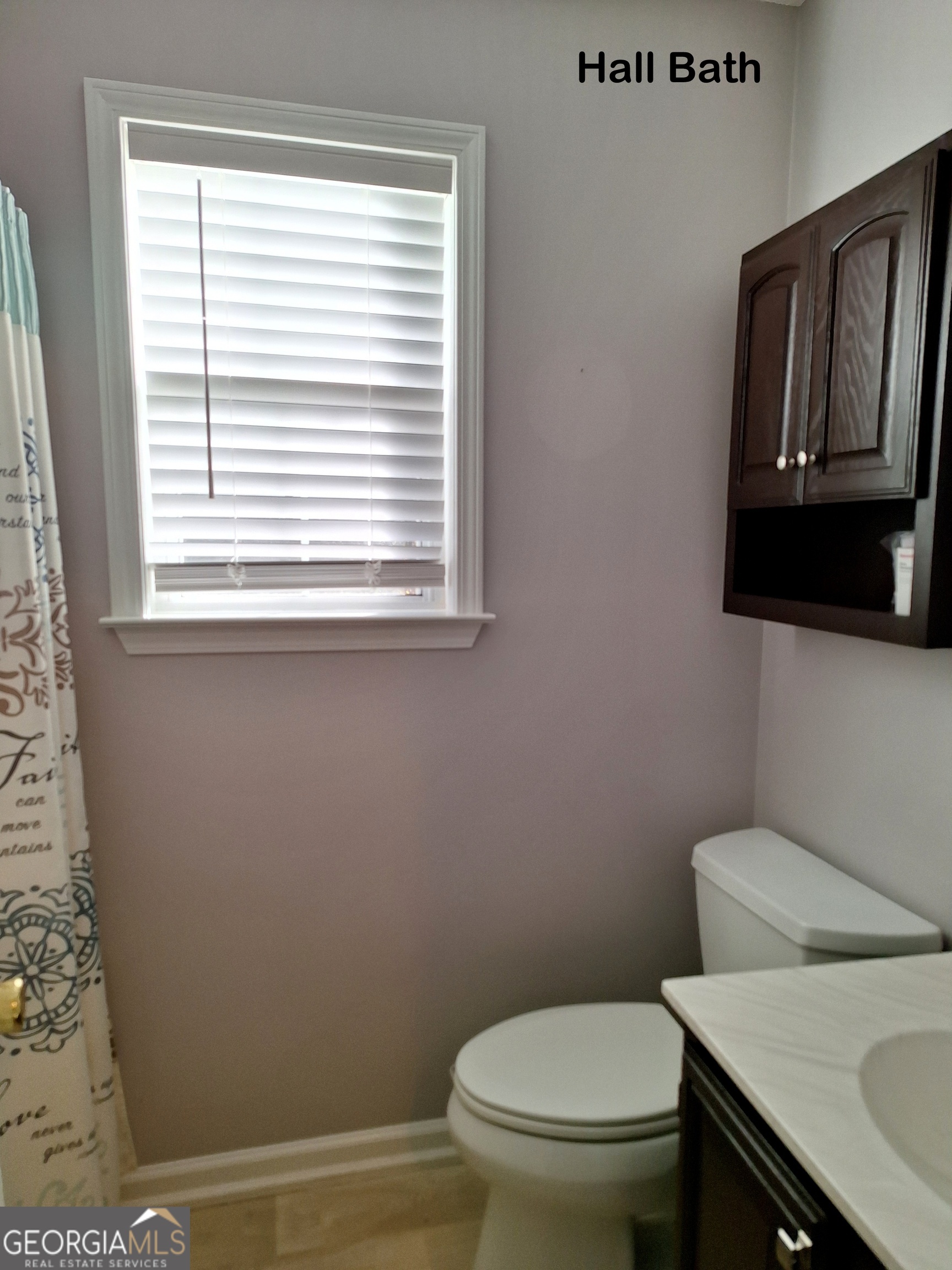125 Chardonnay Oaks Drive Mcdonough GA 30252