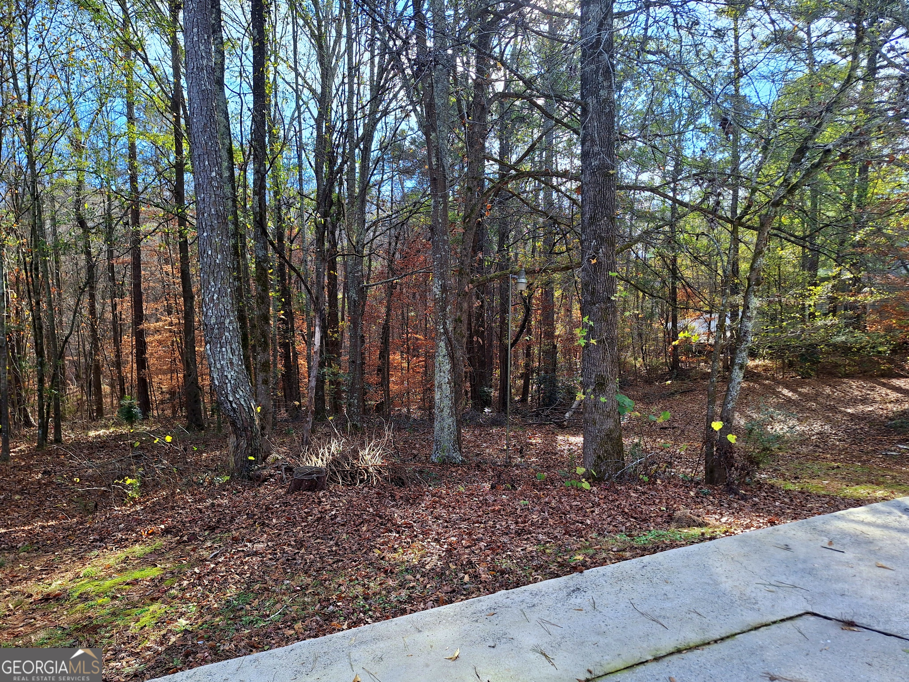 125 Chardonnay Oaks Drive Mcdonough GA 30252