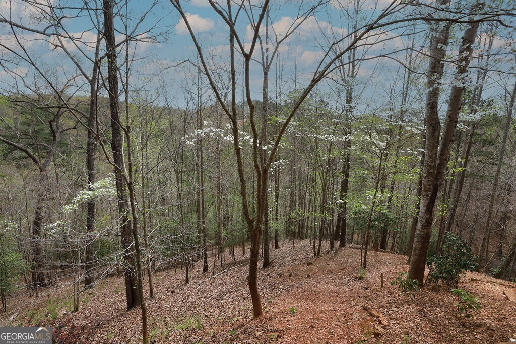 120 Bear Den Road Dahlonega GA 30533