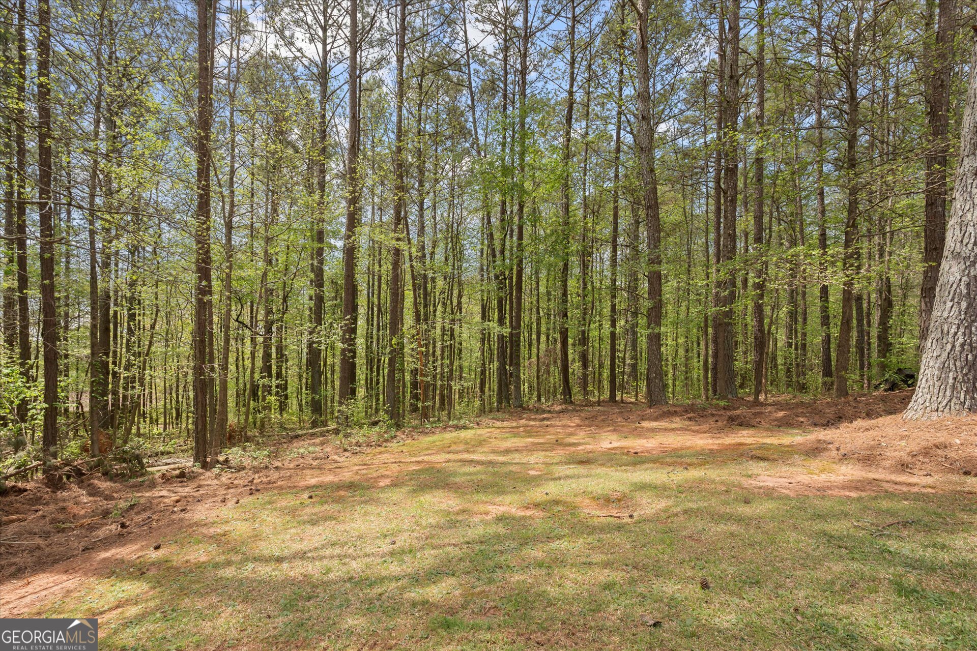 115 Nugget Road Carrollton GA 30117