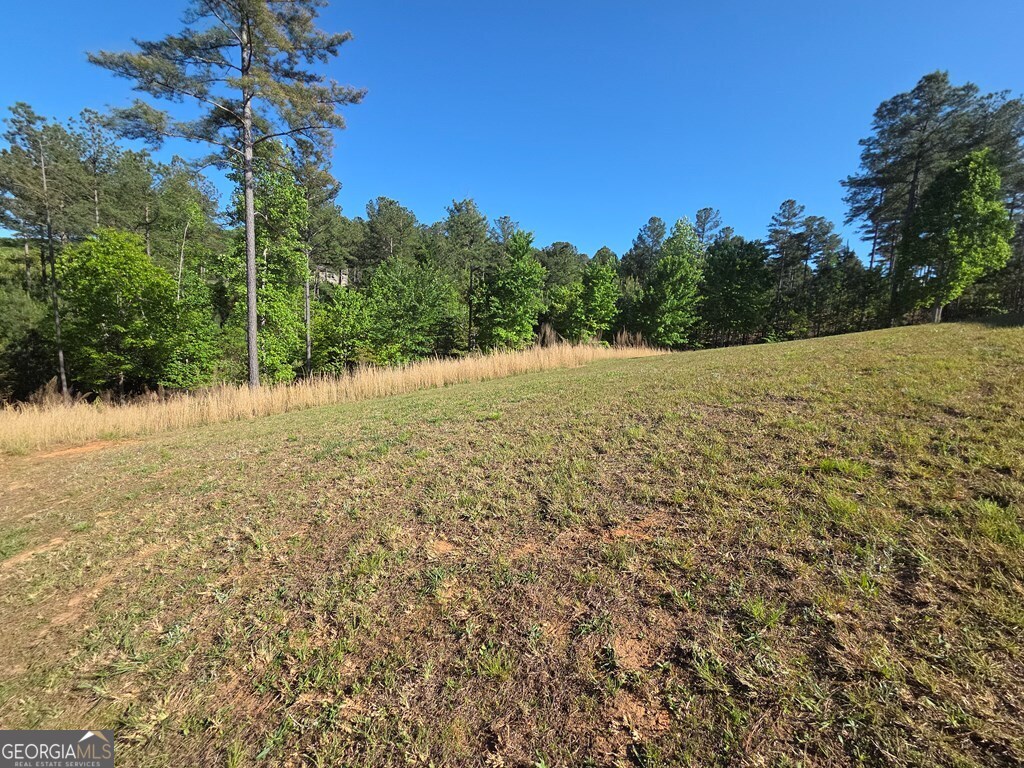 182 Loop Lane Blairsville GA 30512