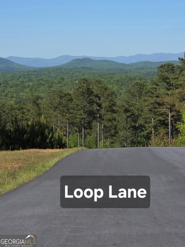 182 Loop Lane Blairsville GA 30512