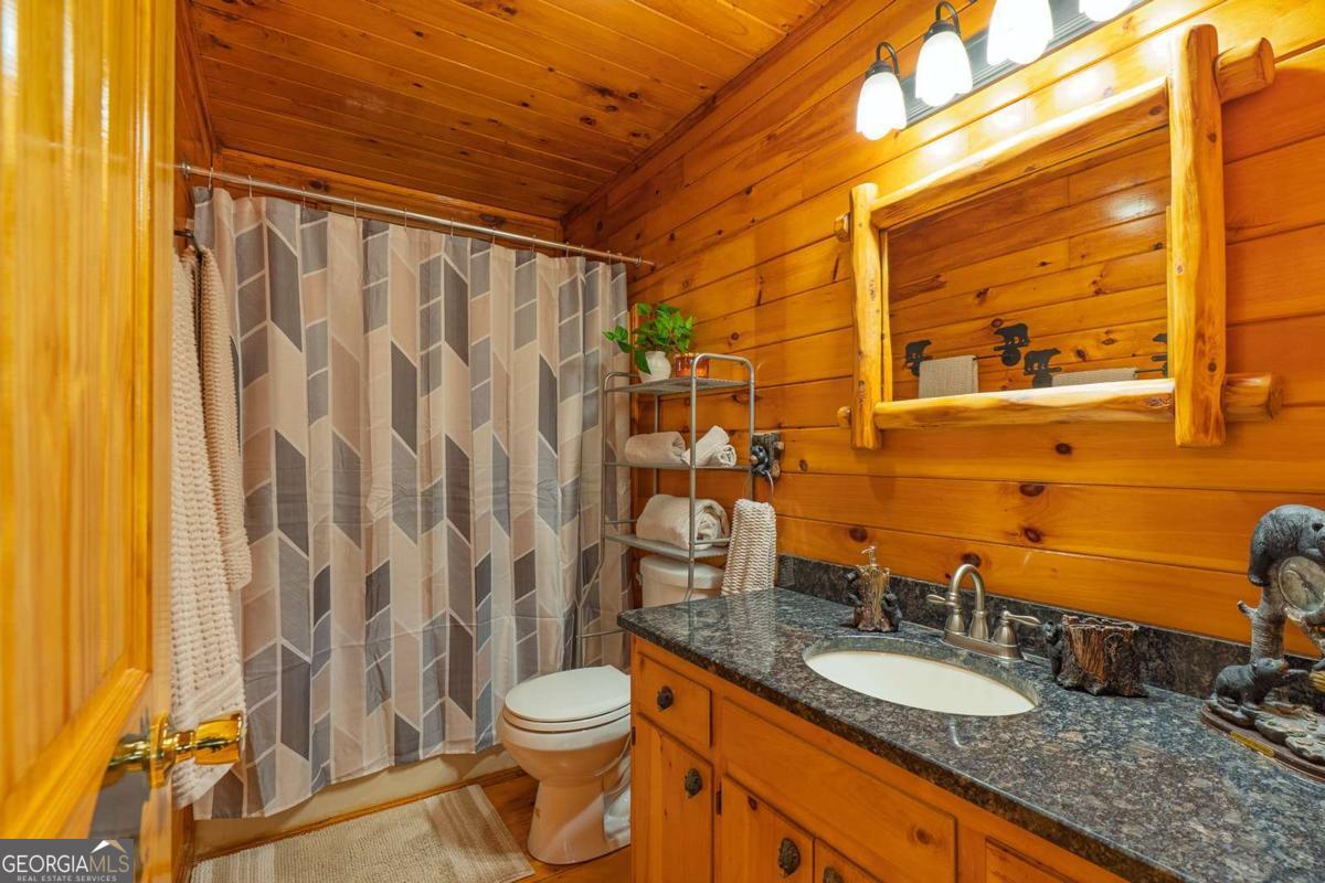 216 Pig Trail Cherry Log GA 30522
