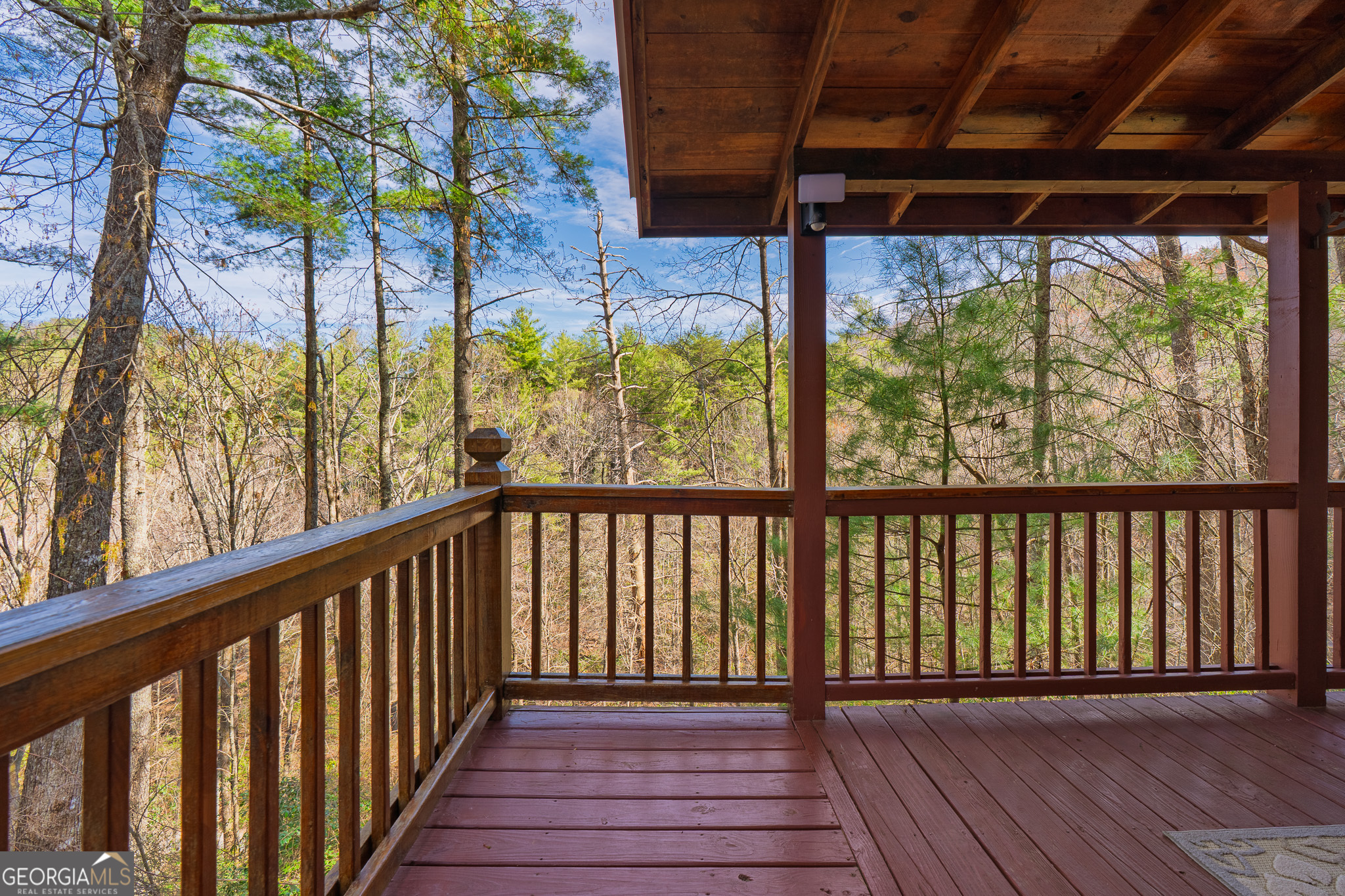 216 Pig Trail Cherry Log GA 30522