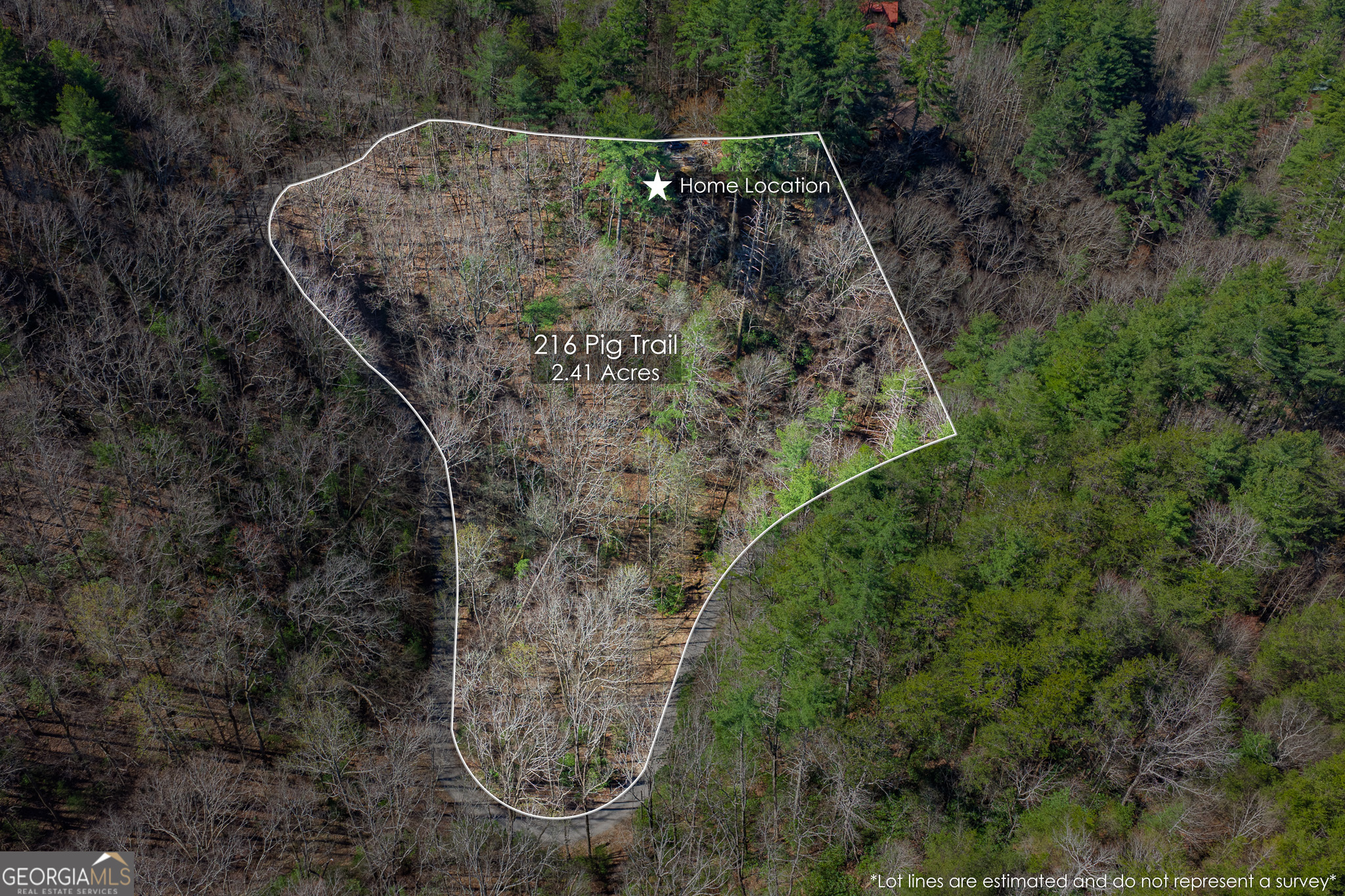 216 Pig Trail Cherry Log GA 30522