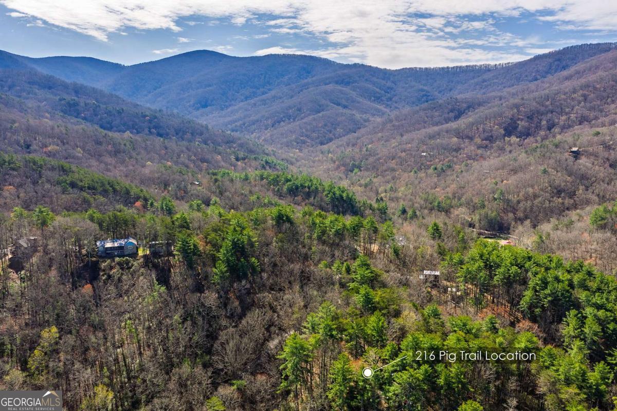 216 Pig Trail Cherry Log GA 30522