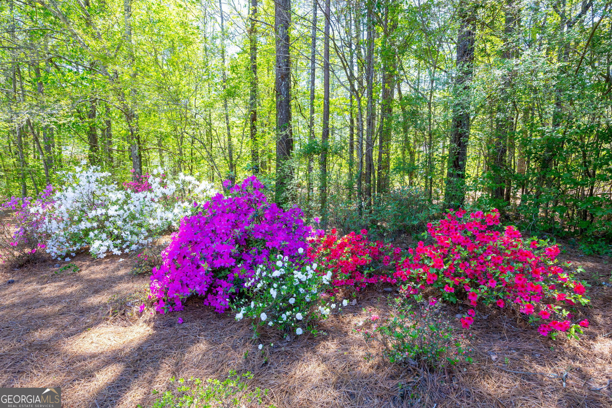 4095 Sophy Drive Powder Springs GA 30127
