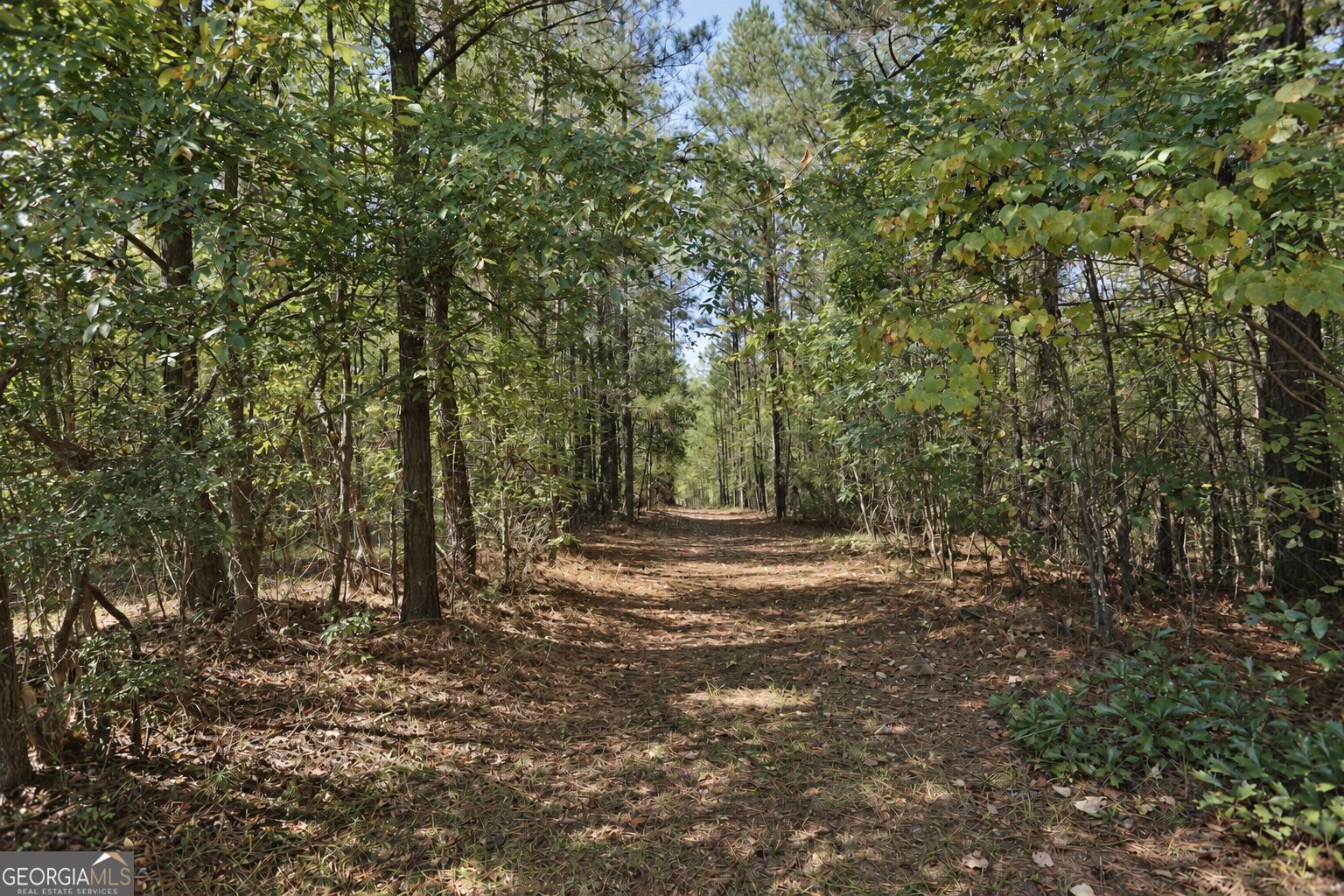 174 Rifle Range Road Gray GA 31032