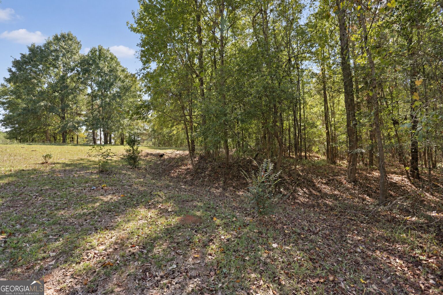 174 Rifle Range Road Gray GA 31032