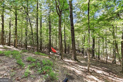 416 Woodland Sautee Nacoochee GA 30571