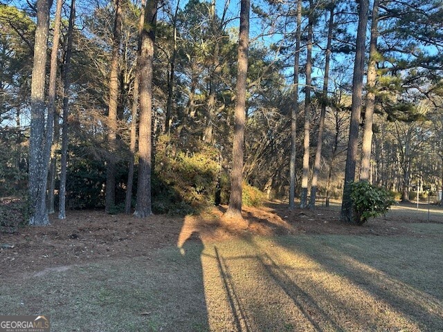 164 Turner Creek Drive Hampton GA 30228