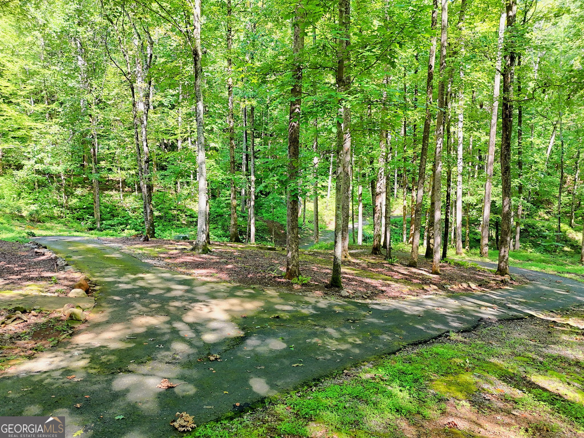 876 Whitetail Trail Clayton GA 30525