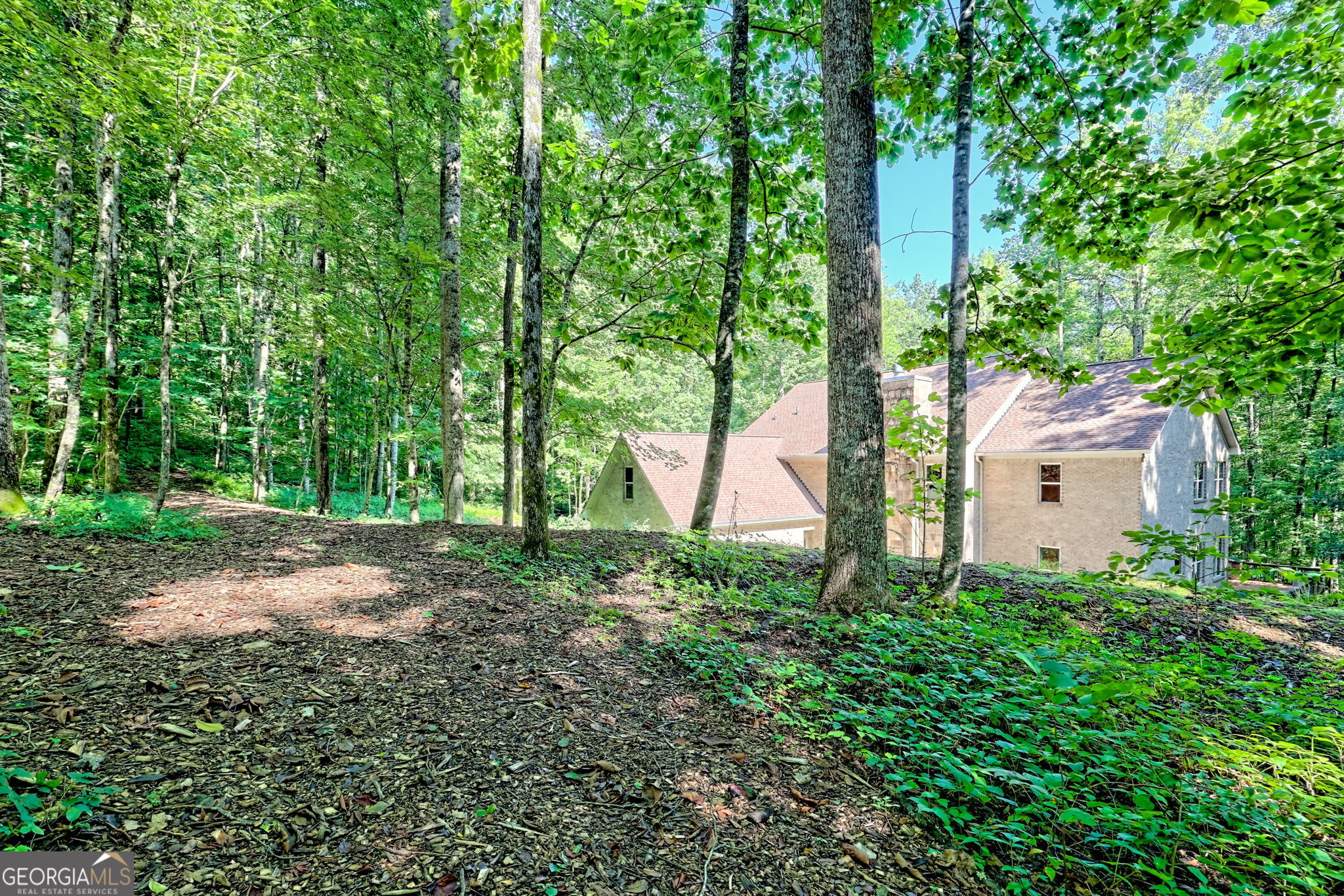 876 Whitetail Trail Clayton GA 30525