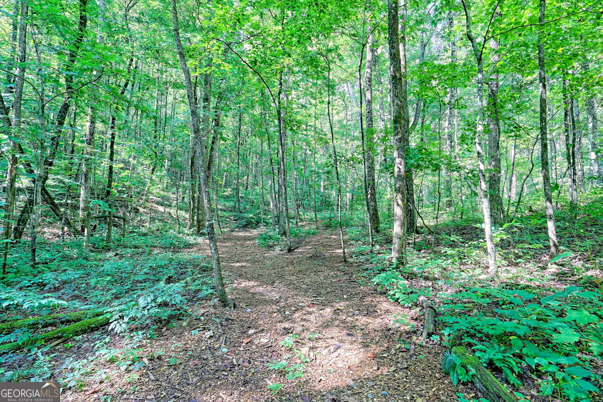 876 Whitetail Trail Clayton GA 30525