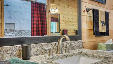 170 Dogpatch Lane Blue Ridge GA 30513