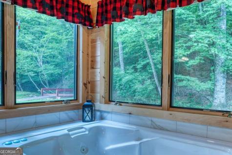 170 Dogpatch Lane Blue Ridge GA 30513