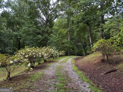 31 Bear Creek Lane Clayton GA 30525