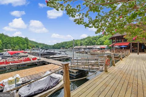 60 Cove View Lane Clarkesville GA 30523