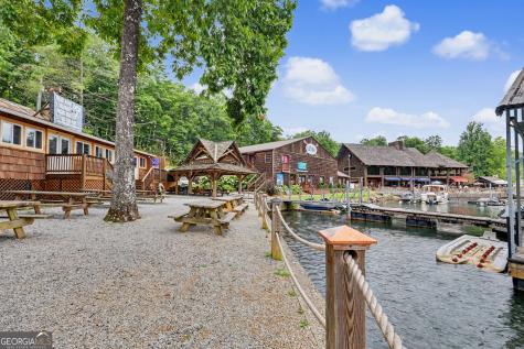 60 Cove View Lane Clarkesville GA 30523