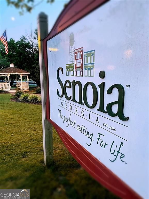 73 Bourbon Street Senoia GA 30276