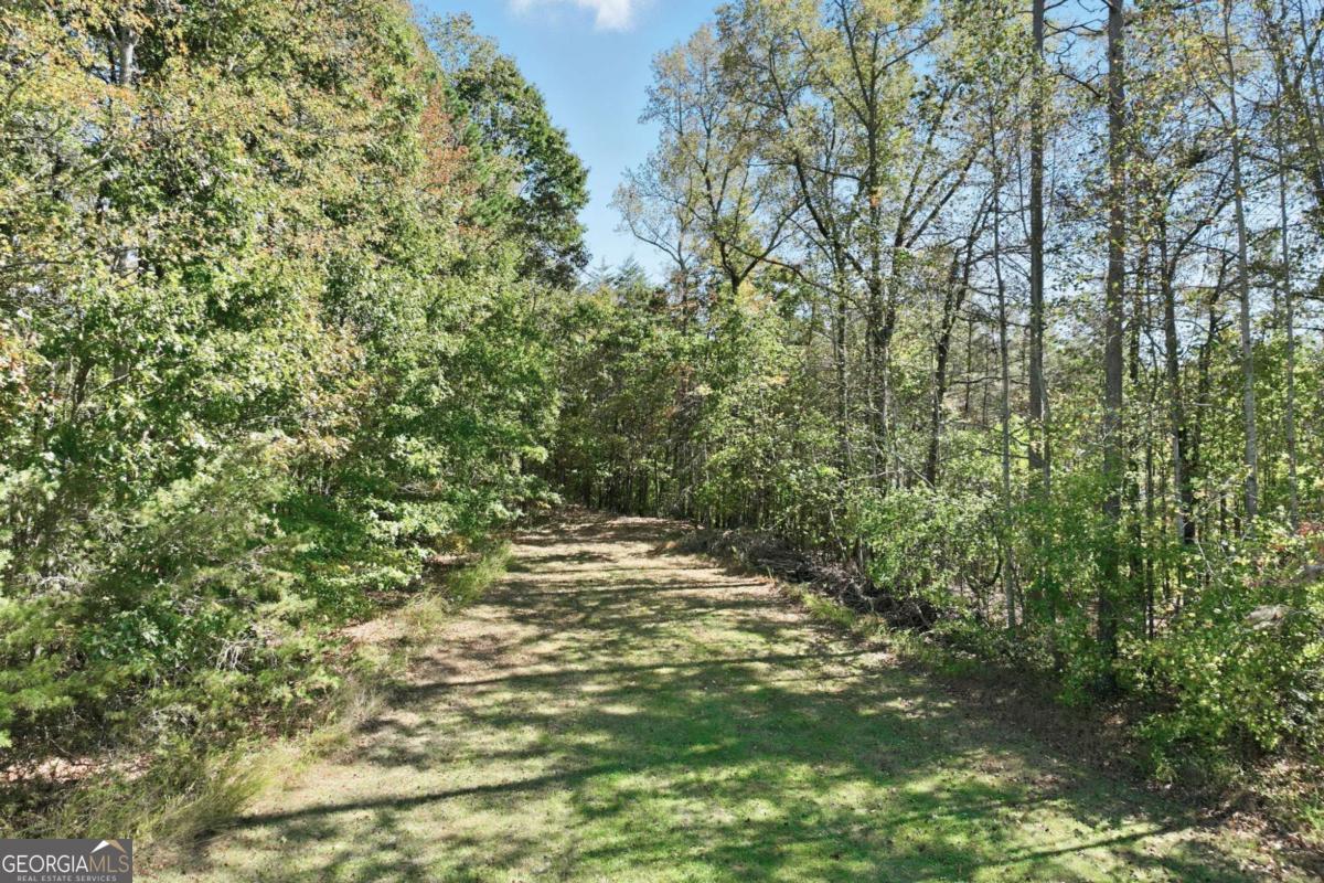 6752 Shoal Creek Road Clermont GA 30527