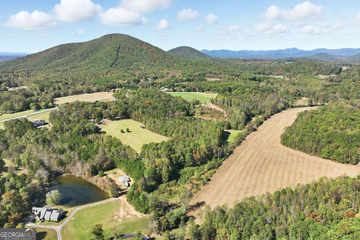 6752 Shoal Creek Road Clermont GA 30527