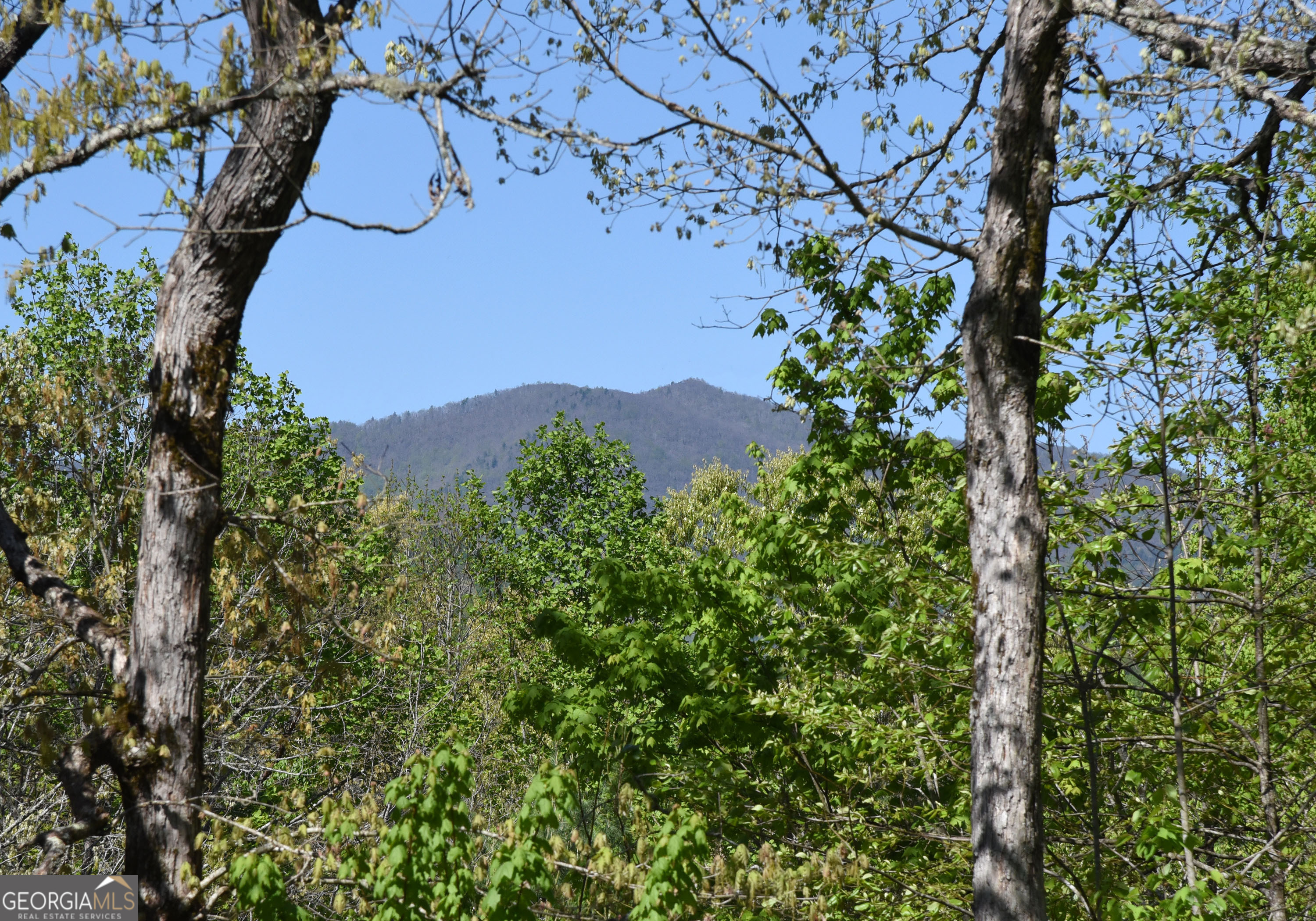 16 Souther Ridge Conn Blairsville GA 30512