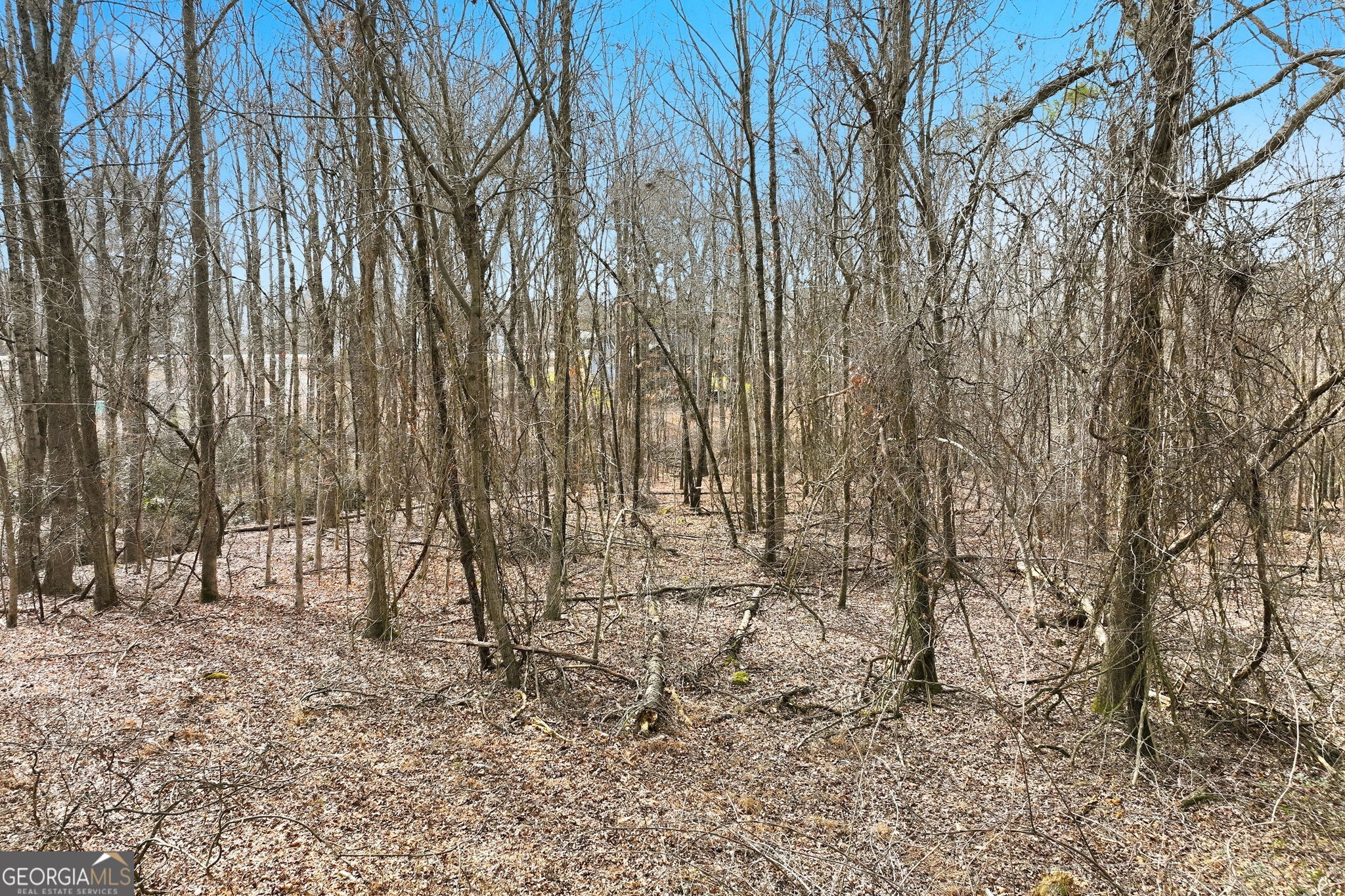 6500 Gaines Ferry Road Flowery Branch GA 30542