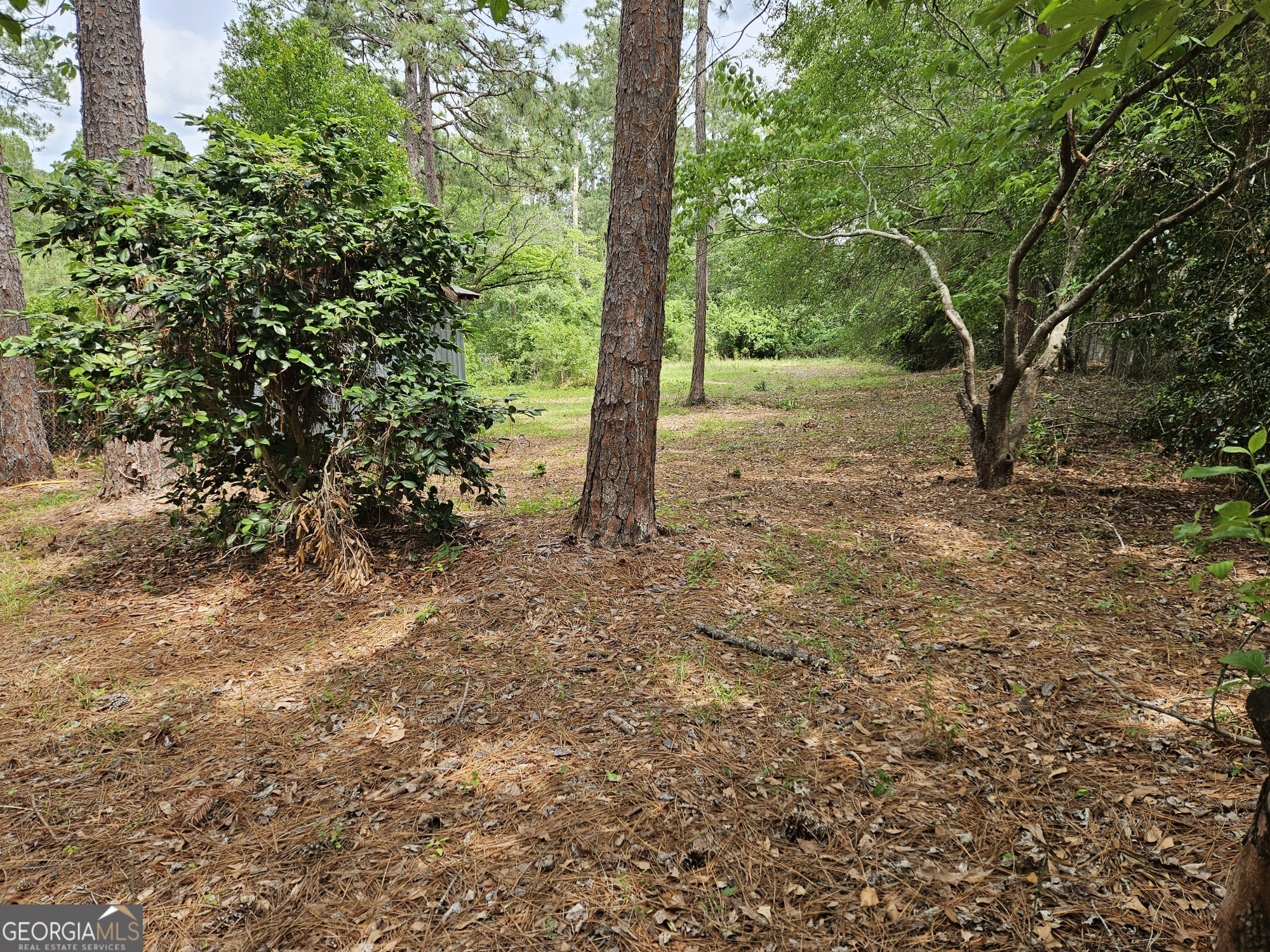 29 Jef Road Statesboro GA 30458