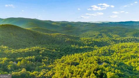 252 Wild Turkey Bluffs Jasper GA 30143