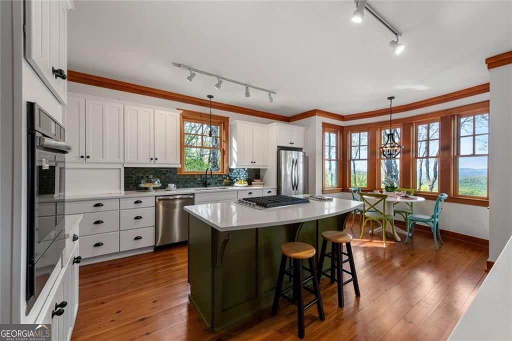 1093 Lower Sassafras Parkway Jasper GA 30143