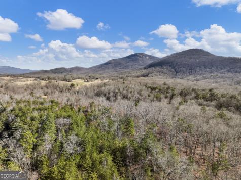 175 Lands End Trail Cleveland GA 30528