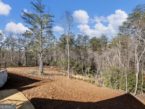 175 Lands End Trail Cleveland GA 30528