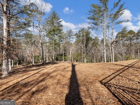 175 Lands End Trail Cleveland GA 30528