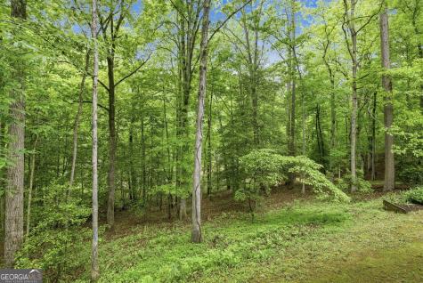 521 River Bridge Trail Cornelia GA 30531